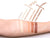 Aesthetica Cosmetics Cream Contour and Highlighting Makeup Kit - Contouring Foundation/Concealer Palette - Vegan, Cruelty Free & Hypoallergenic - Step-by-Step Instructions Included