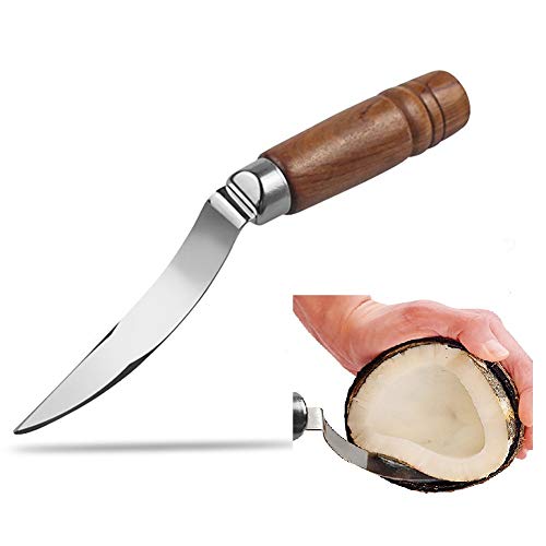 Coconut Meat Removal Tool - Easily Removes Flesh from Shell in